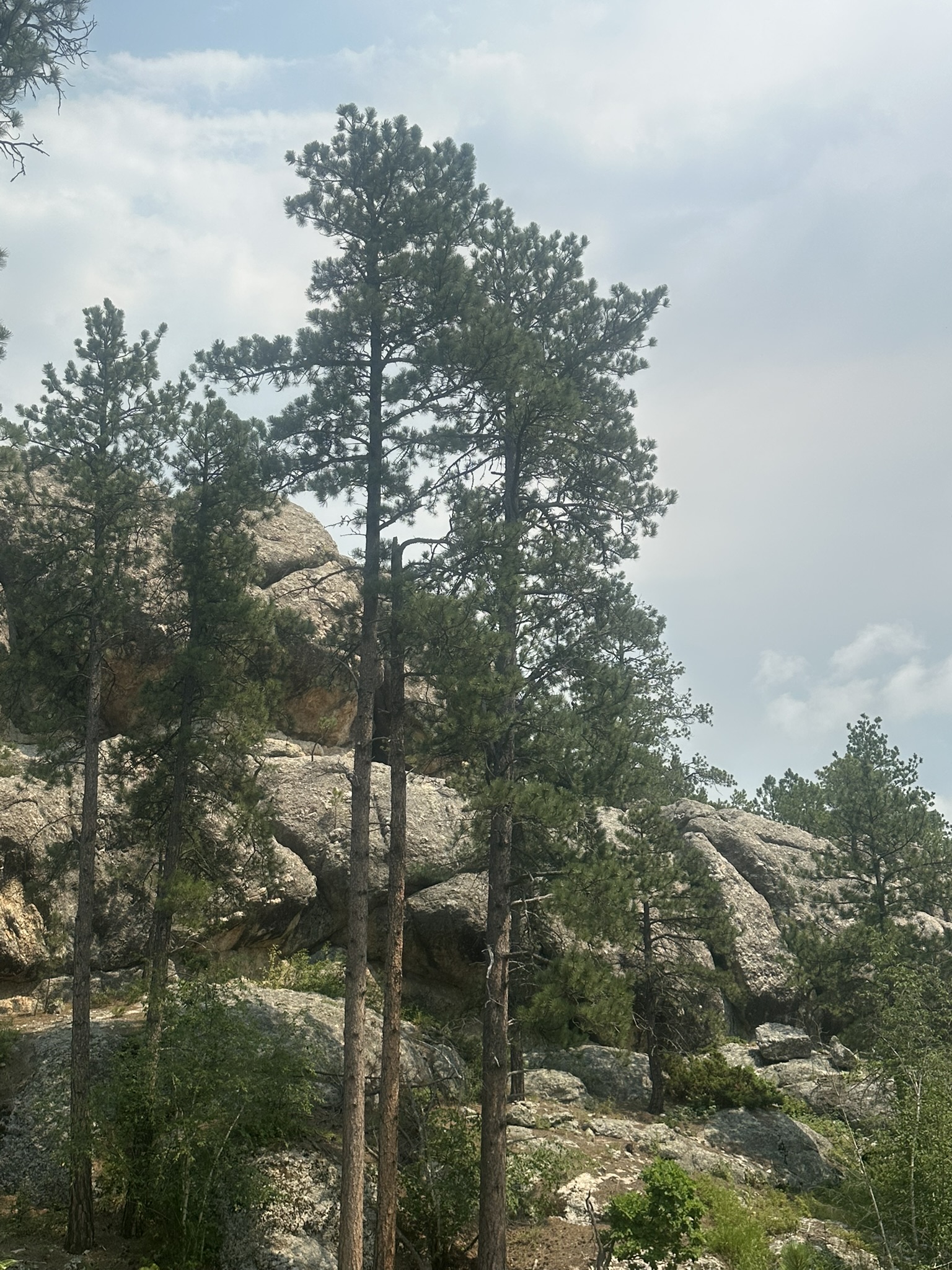 South Dakota - Image 215
